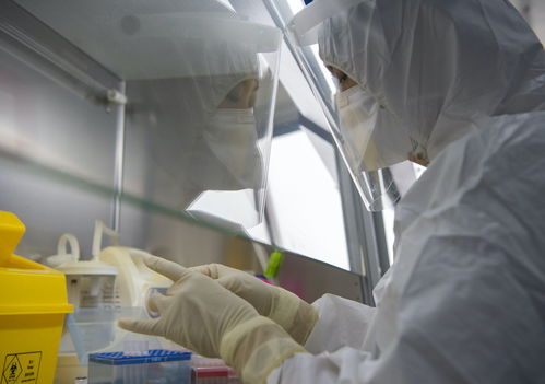 金域醫(yī)學(xué)舉全集團之力，支援北京核酸檢測日產(chǎn)能突破3萬例